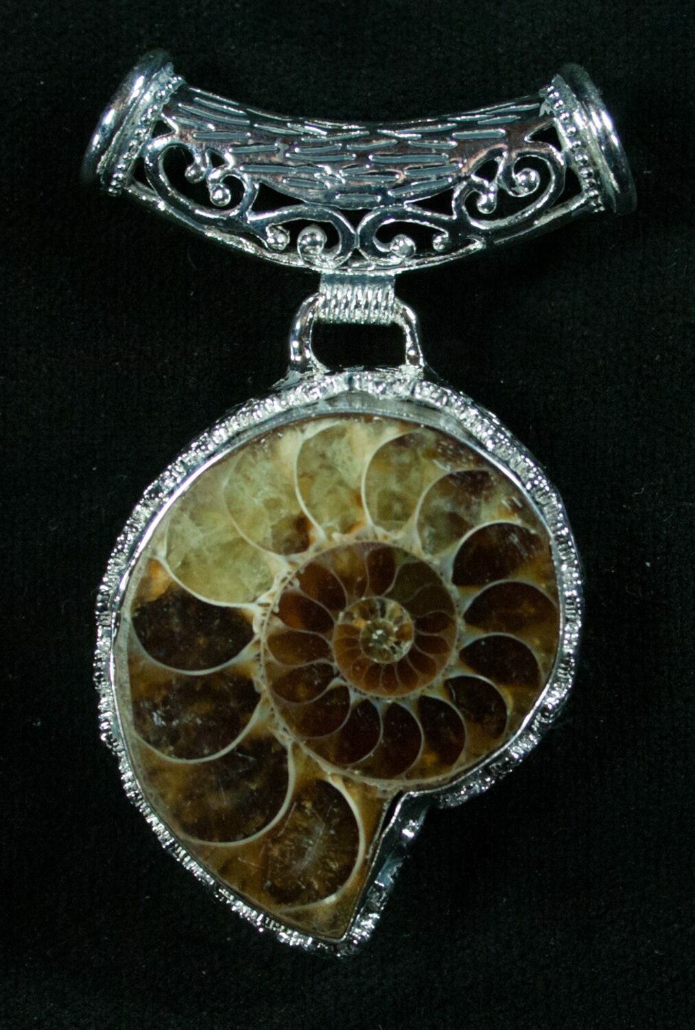 ammonite pendant ammonite pendant