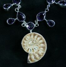 Ammonite Fossil Necklace with Amythyst #8286
