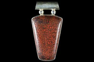 Polished Fossil Dinosaur Bone (Gembone) Pendant #115066