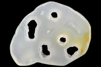 Polished, Chalcedony Replaced Bamboo - Indonesia #121962