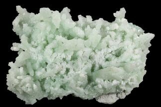 Prehnite Crystal Cluster with Gyrolite & Apophyllite - India #122093
