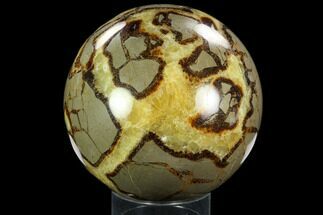Polished Septarian Sphere ( lbs) - Madagascar #122376