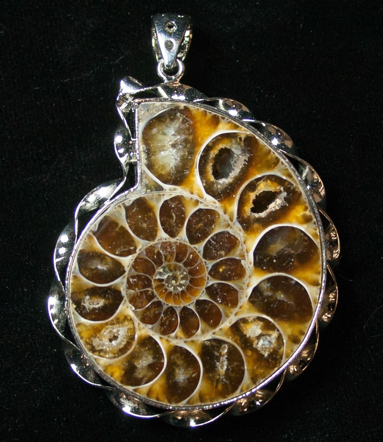 Large Fossil Ammonite Pendant 2" Tall (8529) For Sale