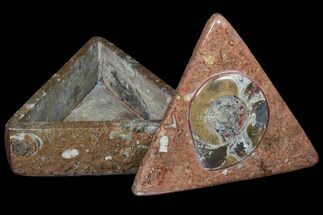 Fossiliferous Limestone Box With Goniatite #123565