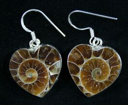 Heart Shaped Ammonite Earrings - Sterling Silver #8884