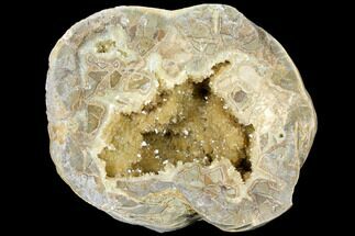 10.1" Yellow Crystal Filled Septarian Geode (18 lbs) - Utah - Crystal #127995