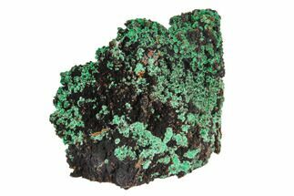 Fibrous Malachite Crystal Cluster - Mexico #126966