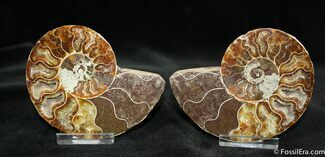 Inch Polished Pair From Madagascar #1449