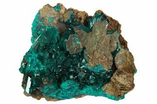 Gorgeous, Gemmy Dioptase Crystal Cluster - Namibia #129090