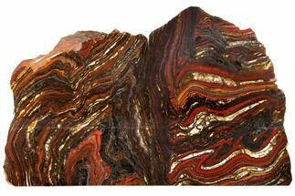 Polished Tiger Iron Stromatolite Bookends - Billion Years #129429
