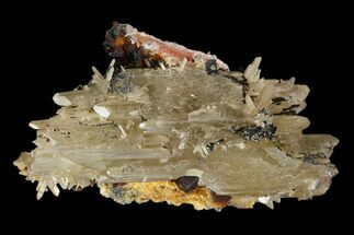 Cerussite Crystal on Orange Barite - Morocco #127375