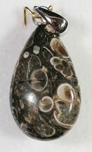 Fossil Turritella (Gastropod) Pendant - Wyoming #9079