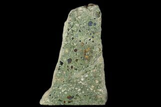 11.9" Polished Rhyolite (Rainforest Jasper) Section - Australia - Crystal #130404