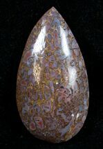 Teardrop Agatized Dinosaur Bone Cab #9374