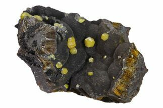 Vanadinite Crystals on Botryoidal Goethite - Mibladen, Morocco #133878