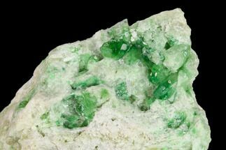 Chrome-Vesuvianite Crystal Cluster - Jeffrey Mine, Canada #134426