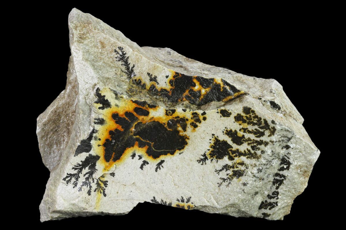 3.8" Dendrites On Limestone Utah (134815) For Sale