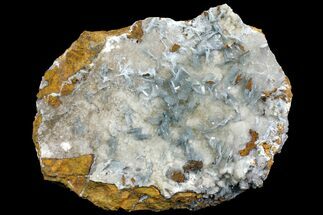 Blue Bladed Barite Crystal Clusters on Calcite  - Morocco #137009