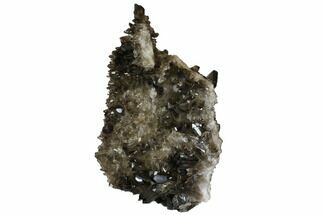 Tall, Free-Standing Smoky Quartz Cluster - Brazil #137843