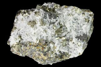 Pyrite, Sphalerite and Quartz Association - Peru #142656