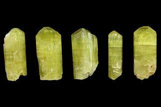 Five Yellow Apatite Crystals (High Quality) - Morocco #143079