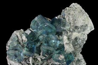 Gorgeous, Blue-Green Fluorite on Sparkling Quartz - China #146640
