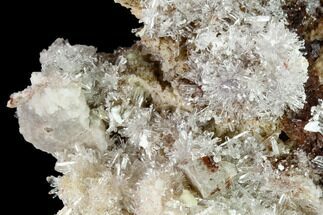 Clear Creedite Crystal Cluster - Fluorescent! #146689