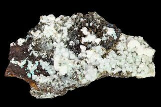 2.5" Aurichalcite and Calcite Association - Utah - Crystal #146192