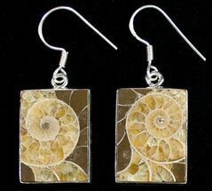Square Shaped Ammonite Earrings - Sterling Silver #10185