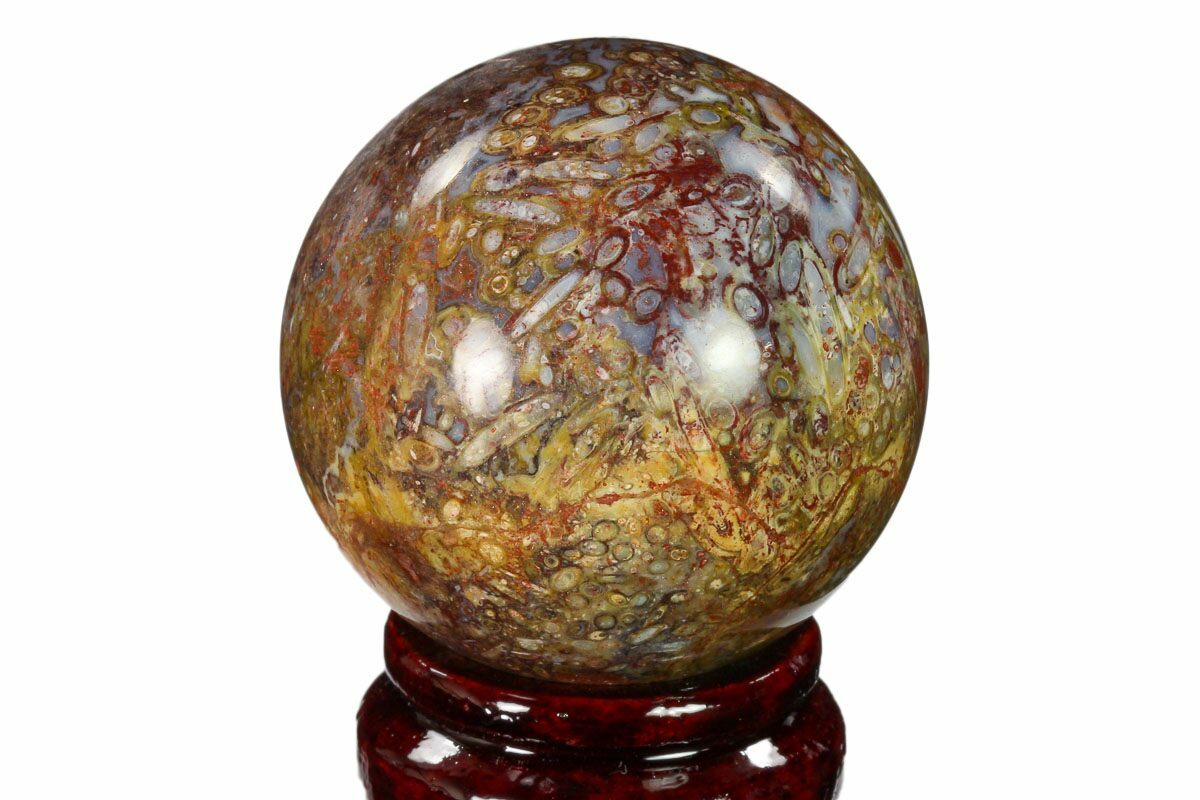 2-1-colorful-polished-petrified-palm-root-sphere-indonesia-for-sale