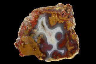 Polished Paint Rock Agate Slab - Tennessee #150572