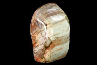 6.7" Free-Standing, Polished Petrified Wood - Madagascar - Fossil #149338