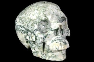 5.8" Realistic, Polished Tree Agate Skull  - Crystal #151195