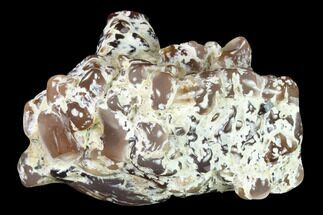 3.6" Pink Agate Petrified Wood Limb Cast - Nevada - Crystal #152122