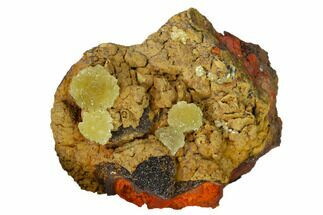 Yellow-Green Austinite Crystal Formation - Durango, Mexico #154713