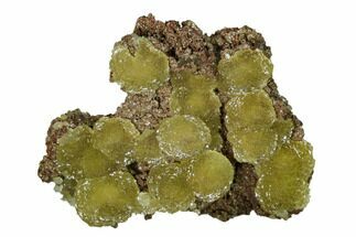 Pristine, Yellow-Green Austinite Crystal Formation - Mexico #154720