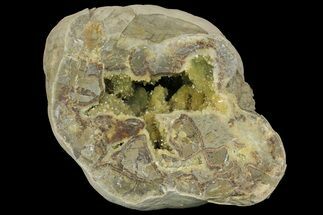 10.1" Yellow Crystal Filled Septarian Geode - Utah - Crystal #157075