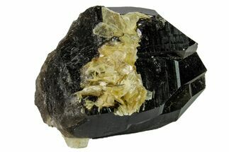Dark Smoky Quartz Crystal Cluster with Mica - Brazil #159606