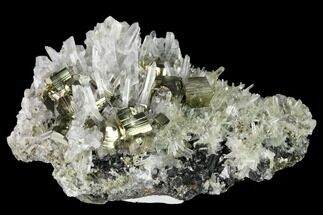 Sphalerite, Pyrite and Quartz Association - Peru #160143