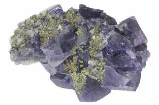 Cubic Purple-Blue Fluorite with Pyrite - Yaogangxian Mine #161557