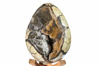 Septarian Dragon Egg Geode - Black and Brown Crystals #160228