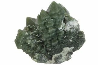 2.5" Green, Hedenbergite Included Quartz - Mongolia - Crystal #163984