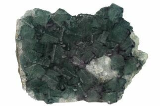 5.8" Multicolored Fluorite Crystals on Quartz - China - Crystal #164039
