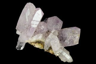 Amethyst Crystal Cluster - Las Vigas, Mexico #165642