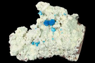 Vibrant Blue Cavansite Clusters on Stilbite - India #168252