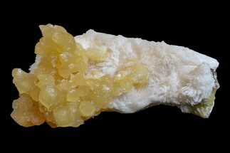 Yellow Calcite On Scolecite (Zeolite) Sprays - Maharashtra, India #168706