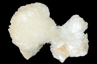 3.3"  Stilbite Cluster - Maharashtra, India - Crystal #168800