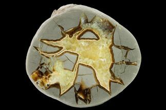 2.8" Polished Septarian Nodule Half - Utah - Crystal #169370