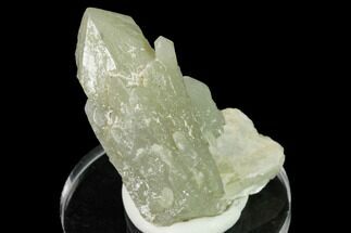 Sage-Green Quartz Crystal Cluster - Mongolia #169891