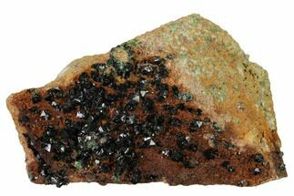 2.5" Deep-Green Libethenite Crystal Cluster - Crystal #169815